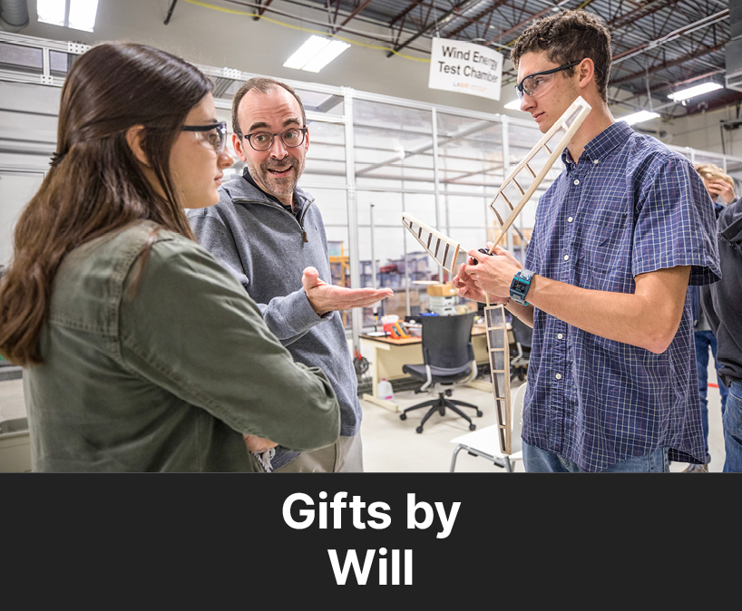 Students talking to their professor. Links to Gifts by Will