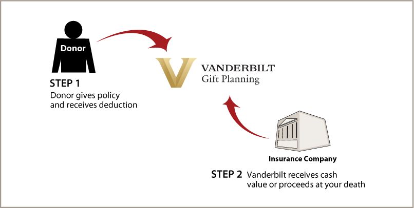 Life Insurance Policy Thumbnail