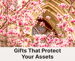 Cherry blossom trees infront of a building. Links to Gifts That Protect Your Assets